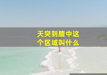 天突到膻中这个区域叫什么