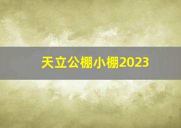 天立公棚小棚2023