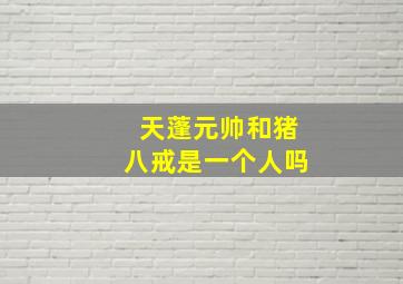 天蓬元帅和猪八戒是一个人吗