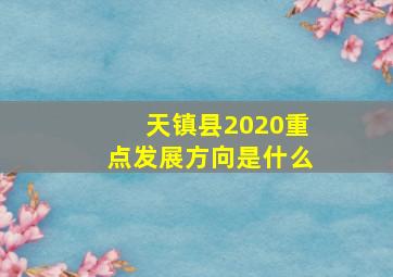 天镇县2020重点发展方向是什么