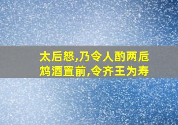 太后怒,乃令人酌两卮鸩酒置前,令齐王为寿