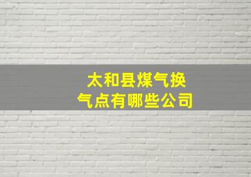 太和县煤气换气点有哪些公司