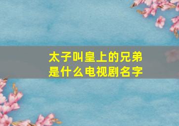 太子叫皇上的兄弟是什么电视剧名字