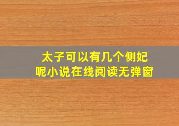 太子可以有几个侧妃呢小说在线阅读无弹窗