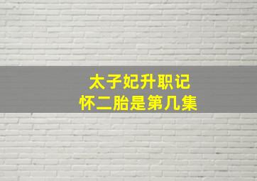 太子妃升职记怀二胎是第几集