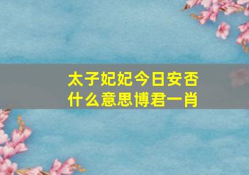 太子妃妃今日安否什么意思博君一肖