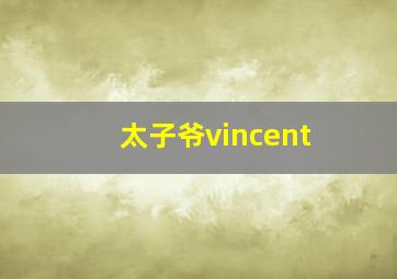 太子爷vincent