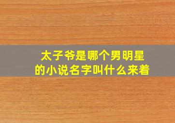 太子爷是哪个男明星的小说名字叫什么来着