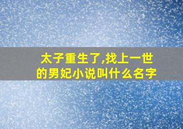 太子重生了,找上一世的男妃小说叫什么名字