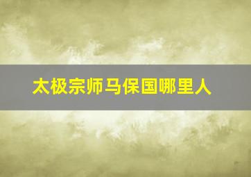 太极宗师马保国哪里人