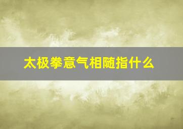 太极拳意气相随指什么