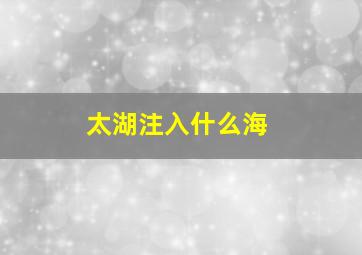 太湖注入什么海