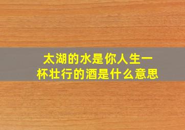 太湖的水是你人生一杯壮行的酒是什么意思