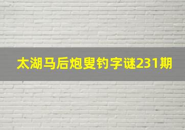 太湖马后炮叟钓字谜231期