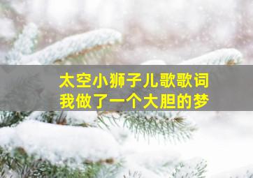 太空小狮子儿歌歌词我做了一个大胆的梦