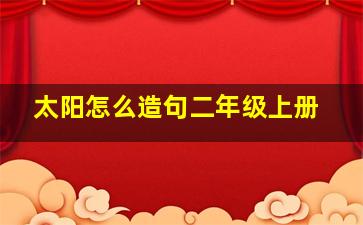 太阳怎么造句二年级上册