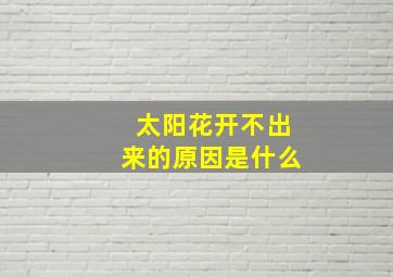 太阳花开不出来的原因是什么