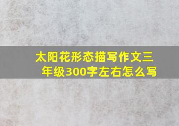 太阳花形态描写作文三年级300字左右怎么写