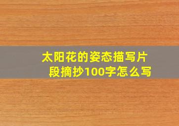 太阳花的姿态描写片段摘抄100字怎么写