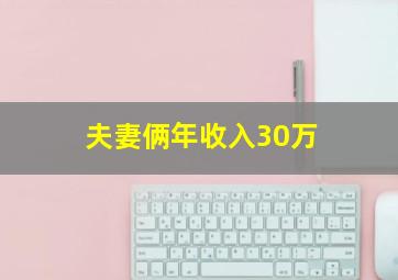 夫妻俩年收入30万