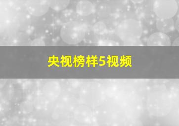 央视榜样5视频