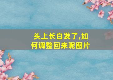 头上长白发了,如何调整回来呢图片