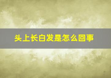 头上长白发是怎么回事