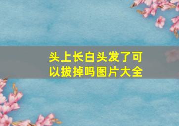 头上长白头发了可以拔掉吗图片大全