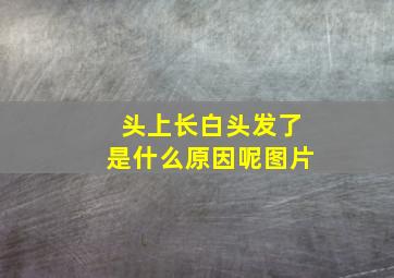 头上长白头发了是什么原因呢图片