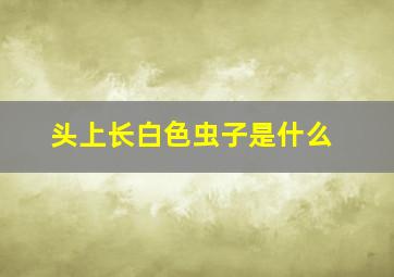 头上长白色虫子是什么