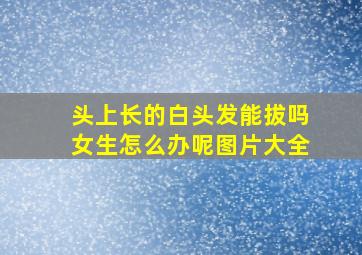 头上长的白头发能拔吗女生怎么办呢图片大全