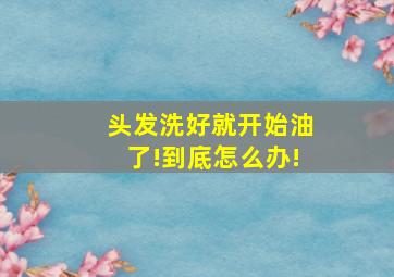 头发洗好就开始油了!到底怎么办!