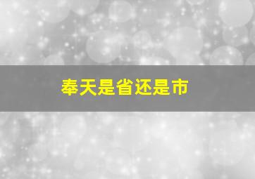 奉天是省还是市