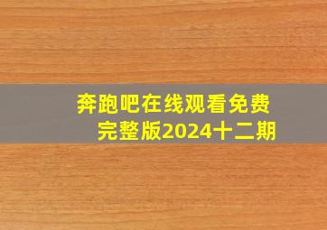 奔跑吧在线观看免费完整版2024十二期