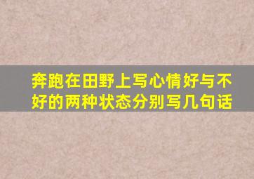 奔跑在田野上写心情好与不好的两种状态分别写几句话