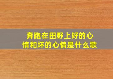 奔跑在田野上好的心情和坏的心情是什么歌