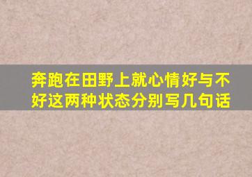 奔跑在田野上就心情好与不好这两种状态分别写几句话