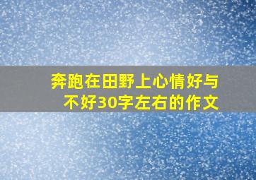 奔跑在田野上心情好与不好30字左右的作文