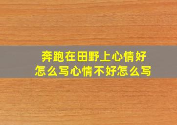 奔跑在田野上心情好怎么写心情不好怎么写