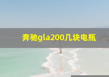 奔驰gla200几块电瓶