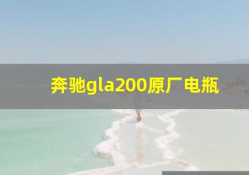 奔驰gla200原厂电瓶