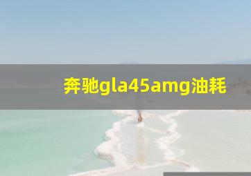 奔驰gla45amg油耗