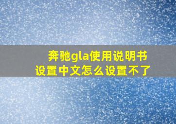 奔驰gla使用说明书设置中文怎么设置不了