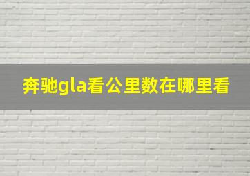 奔驰gla看公里数在哪里看