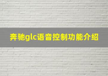 奔驰glc语音控制功能介绍