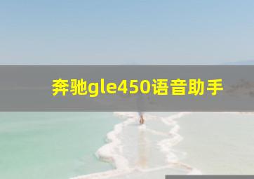 奔驰gle450语音助手