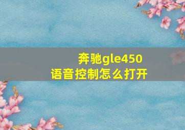 奔驰gle450语音控制怎么打开