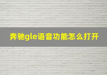 奔驰gle语音功能怎么打开