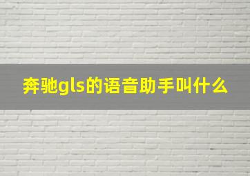 奔驰gls的语音助手叫什么