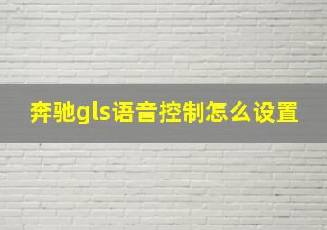 奔驰gls语音控制怎么设置